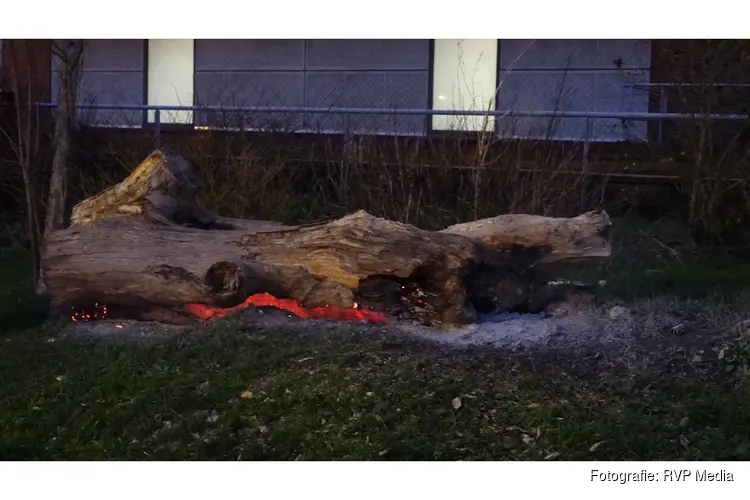 Boomstam geblust door brandweer