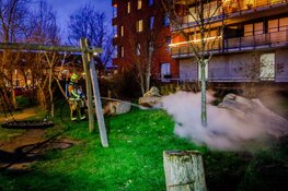 Boomstam geblust door brandweer