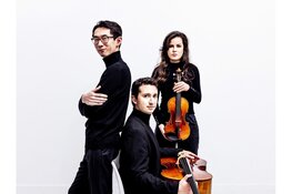 Concert Amatis Trio zondag 11 januari