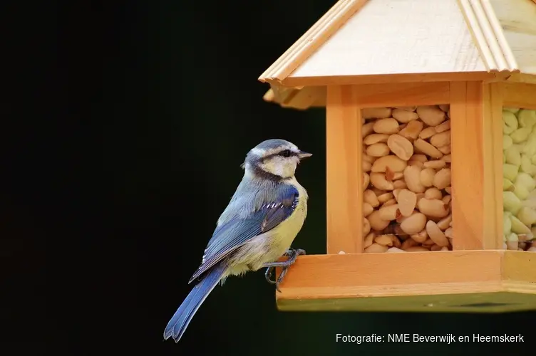 Vogels en vogelvoer op Kinderboerderij Dierendorp