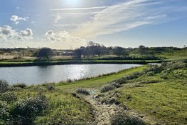 Wintereditie van de Kennemer Vogeldag