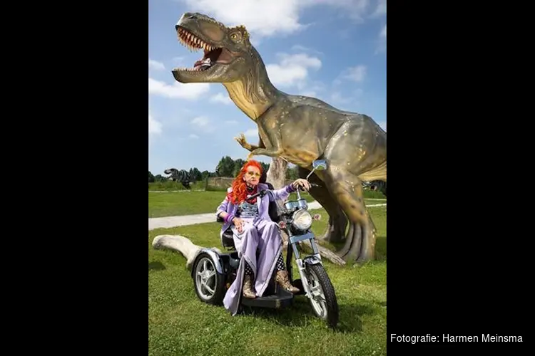 Tentoonstelling Nieuw Oud! De kunst van het ouder worden