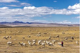 Lezing Reisfotografie Fotoclub Castricum
