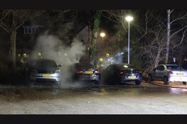 Meerdere auto's in brand in Spaarndam