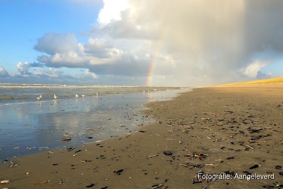 Winterse strandexcursie in IJmuiden