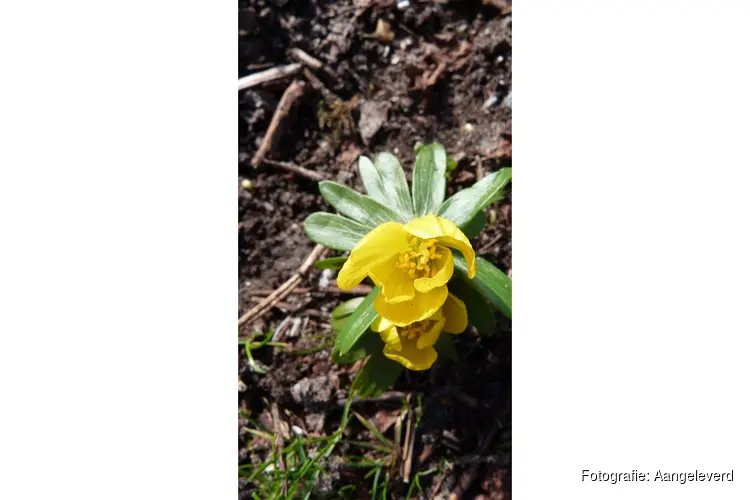 Rondje Bolwerken en Kenaupark