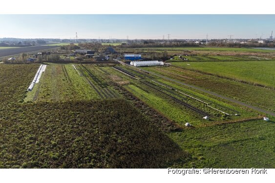 Herenboeren Rorik organiseert lezing over het Oer-IJ