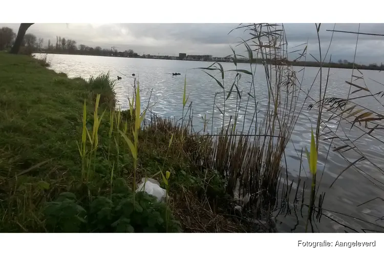 Opschonen oevers van het Spaarne