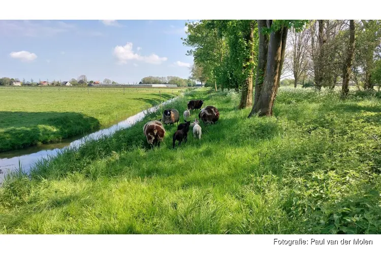 Na fris weekend later in de week iets zachter