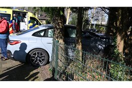 Automobilist komt tot stilstand tegen boom in tuin