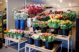 Gezellig druk bij opening Albert Heijn Bloemendaal
