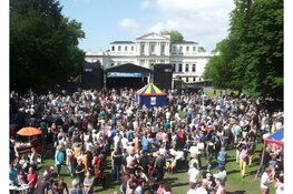 Houtfestival Haarlem gaat nieuwe koers onderzoeken