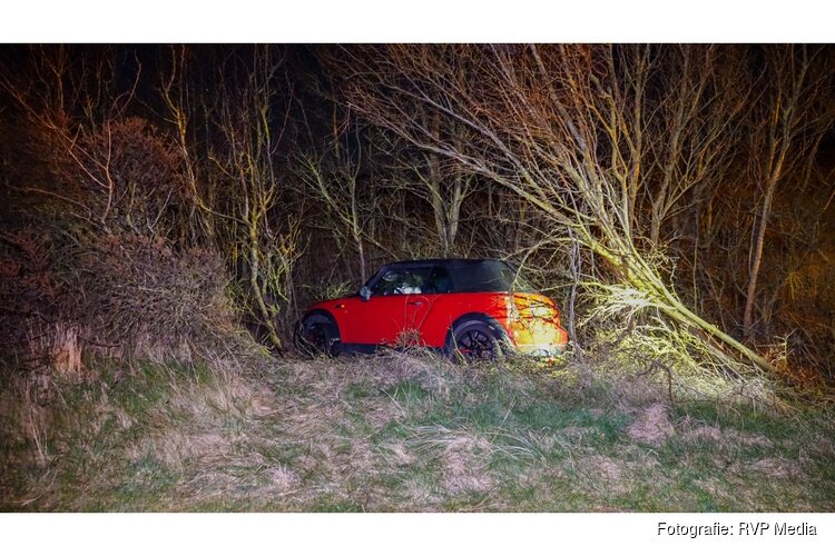 Automobilist raakt van de weg na uitwijkactie voor hert