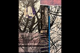 Expositie Aleksandra Jadczuk opent 9 april in Bibliotheek IJmuiden