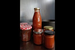 Lancering Buurt Koelkast op Springer Festival