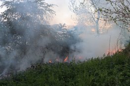 Natuurbrand bij begraafplaats in Beverwijk