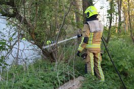 Natuurbrand bij begraafplaats in Beverwijk