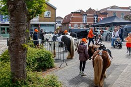 Gezellige drukte op vrijmarkt Uitgeest