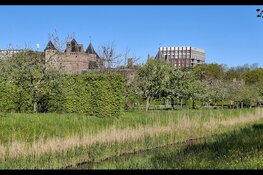 "Sfeervolle wandeling in Park Assumburg
