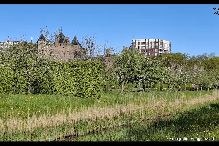 "Sfeervolle wandeling in Park Assumburg