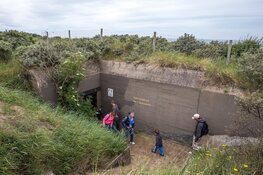 Ontdek de verborgen verhalen achter de bunkers tijdens Bunkerdag