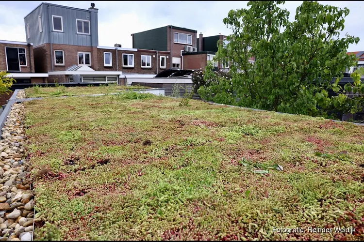 Velsenaren leggen gezamenlijk 760 m2 nieuwe groene daken aan!