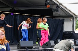 Veel bezoekers bij derde editie van Heemskerk Festival
