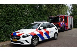 Vrouw ramt geparkeerde auto en woning in Heemskerk