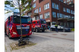 Cavia gered bij brand in Beverwijk