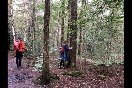 Lichtvoetig door het bos, zintuigenwandeling Kijk, ruik, luister en voel de duinnatuur