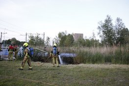 Riet vliegt in brand langs tunnel in Beverwijk