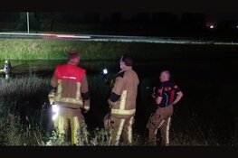 Brandweer uren bezig met paard in sloot