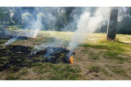 Tiental meters gras in brand in Heemskerk