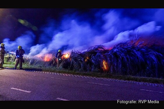 Fikse brand in rietkraag Heemskerk