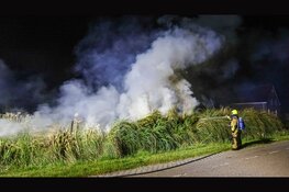Fikse brand in rietkraag Heemskerk