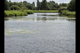 Beleef zomerse natuur en historie in Park Assumburg!