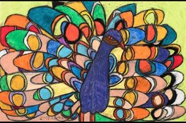 Museum van de Geest opent pop-up locatie in Haarlem met grootschalige tentoonstelling over outsiderkunst