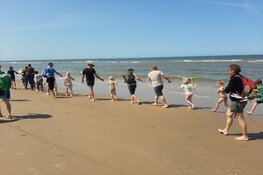 Korren op het strand Castricum aan Zee - Ontdek wat er leeft in de Noordzee!