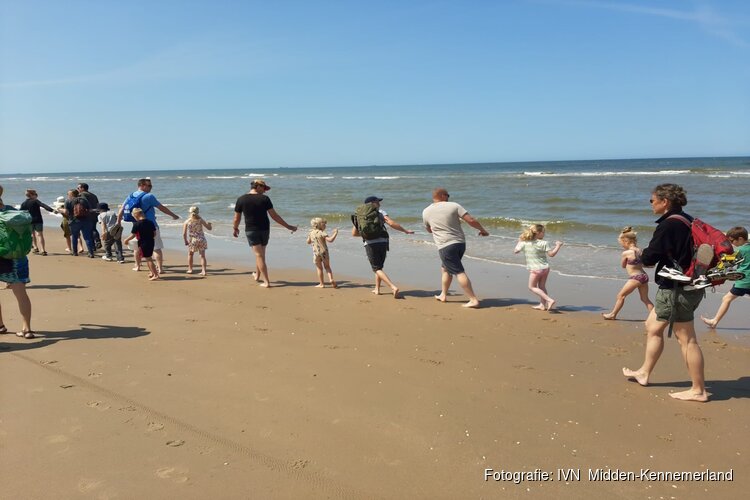 Korren op het strand Castricum aan Zee - Ontdek wat er leeft in de Noordzee!
