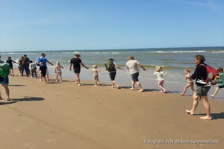 Korren op het strand Castricum aan Zee - Ontdek wat er leeft in de Noordzee!