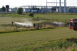 Brandweer blust brand in veld in Beverwijk