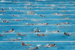 Het leukste en sportiefste zwemevenement voor de hele familie! De Zomer Zwem4daagse!
