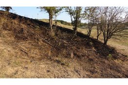 Veel hulpdiensten opgeroepen voor brand in duinen bij Santpoort-Noord