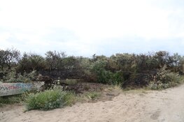 Brandweer voorkomt uitbreiding van duinbrand in IJmuiden
