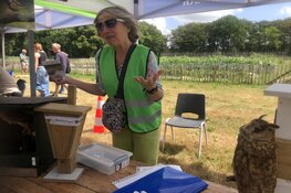 Laatste Zomerpodium Marquette neemt afscheid van vertrouwde locatie