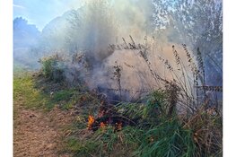 Rookwolken bij brand in stuk natuur Beverwijk