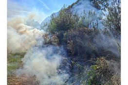 Rookwolken bij brand in stuk natuur Beverwijk