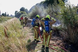 Rookwolken bij brand in stuk natuur Beverwijk