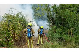 Rookontwikkeling bij brand in bosjes in Beverwijk