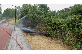 Rookontwikkeling bij brand in bosjes in Beverwijk